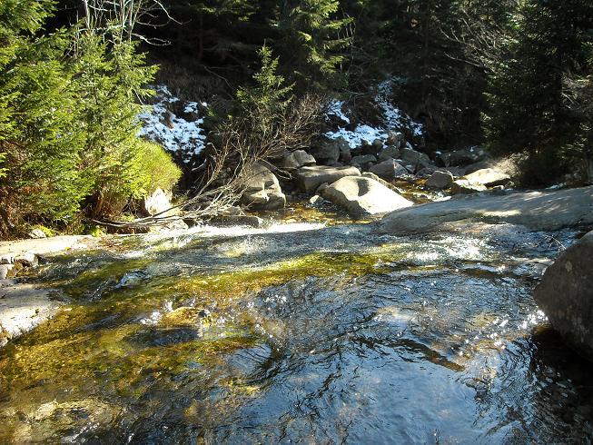 Krkonoše 023.jpg